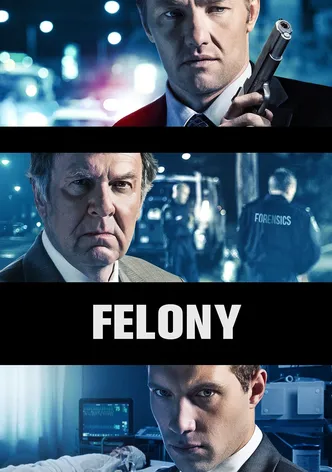 Felony poster