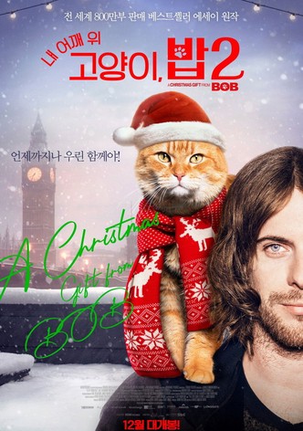 내 어깨 위 고양이, 밥 2