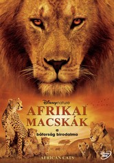 Afrikai macskák - A bátorság birodalma