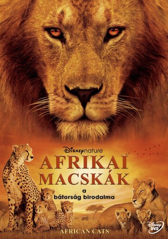 Afrikai macskák - A bátorság birodalma