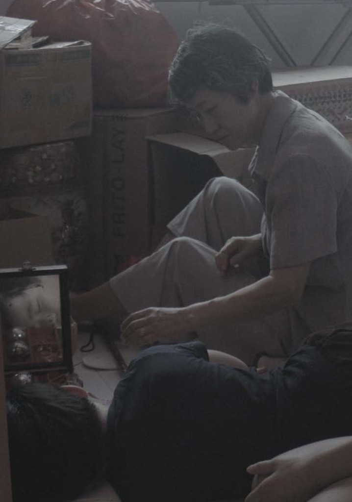 Flower Shadow Serenade