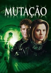 Predadores de Nova York