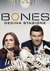 Bones
