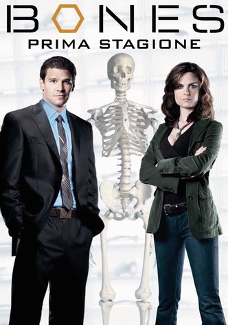 Bones - Stagione 1