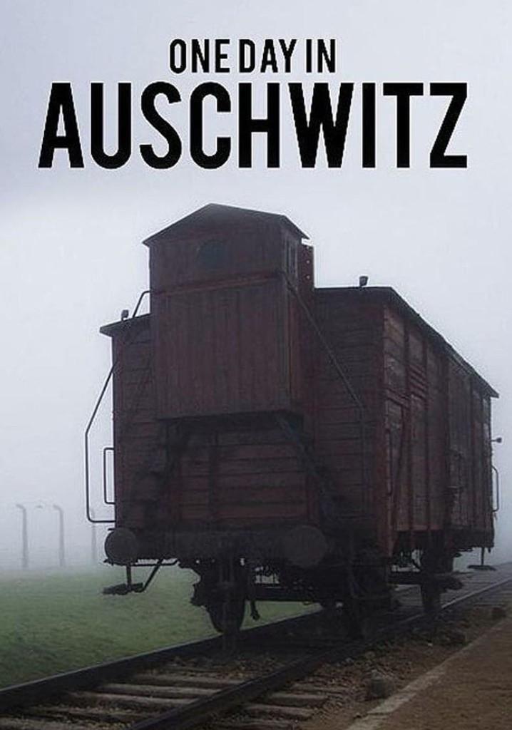 One Day in Auschwitz