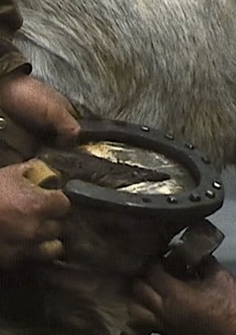The Farrier