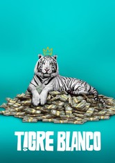 Tigre Blanco