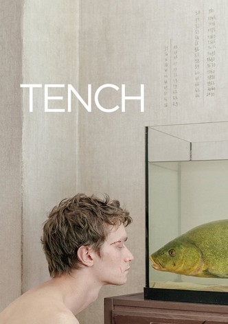 Tench