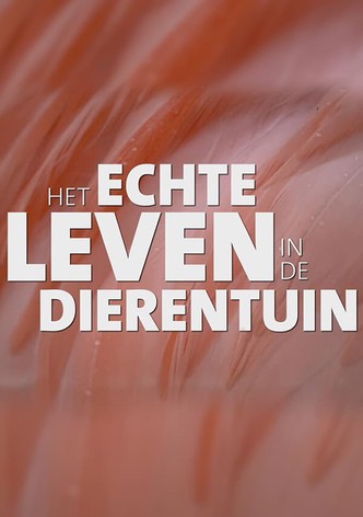 Real Life in the Zoo