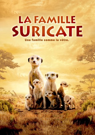 La Famille Suricate