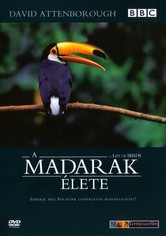 A madarak élete