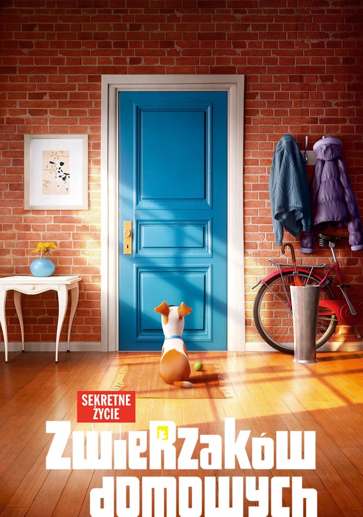 Sekretne życie Zwierzaków Domowych Plan Lekcji www.justwatch.com
