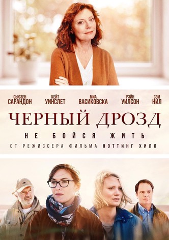 Чёрный дрозд