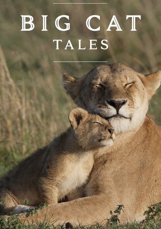 Big Cat Tales - Afrikas Raubkatzen