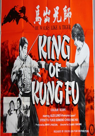King of Kung Fu