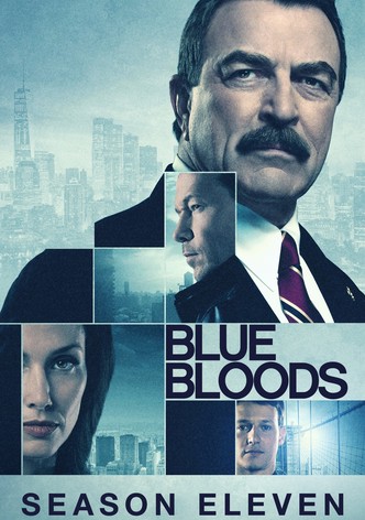 Blue bloods online sale
