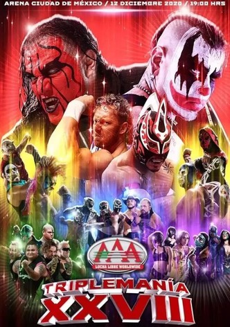 AAA Triplemania XXVIII
