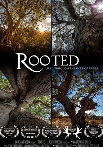 Rooted - Season 1 (4K UHD)