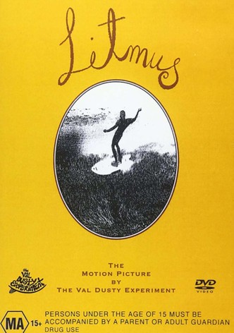 Litmus: A Surfing Odyssey