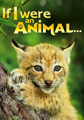 If I were an Animal