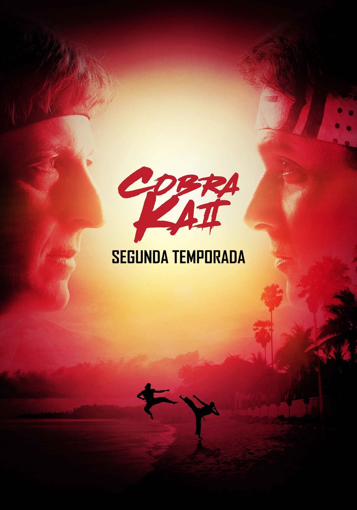 Ver Cobra Kai Temporada 4 Online