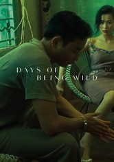 Days of Being Wild