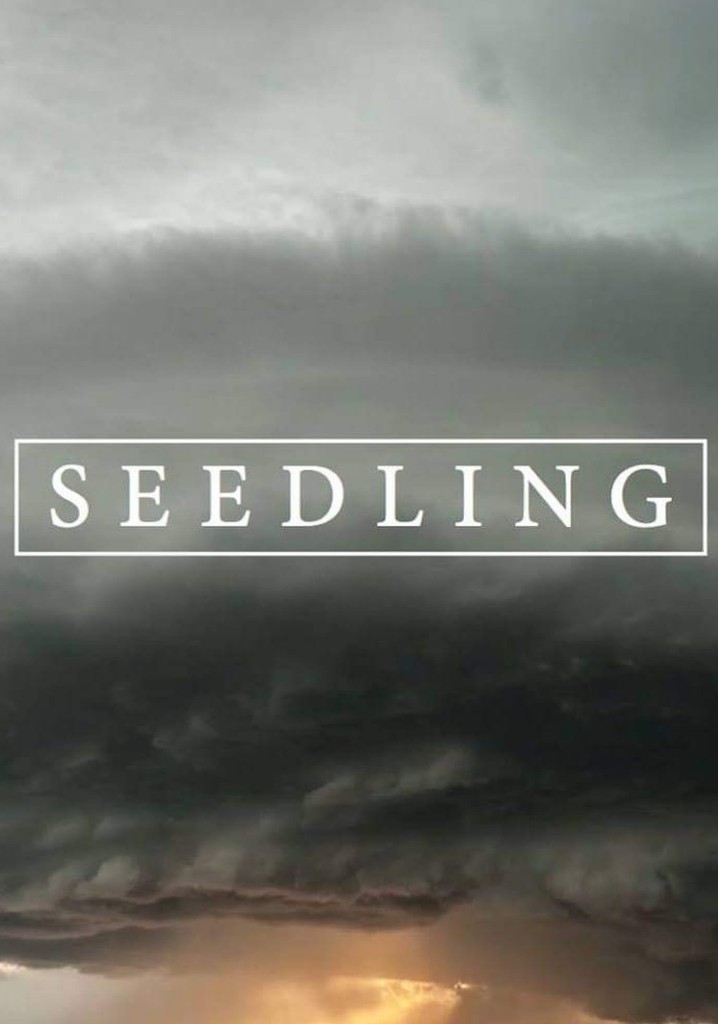 Seedling