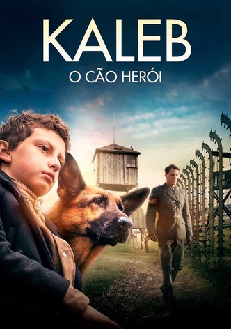 Kaleb - O Cão Herói