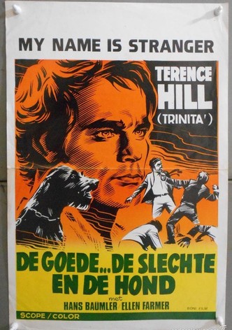 Il magnifico emigrante