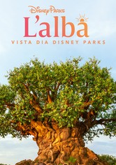 L’alba vista dai Disney Parks