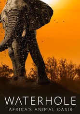Waterhole: Africa's Animal Oasis