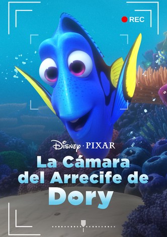 La cámara del arrecife de Dory