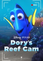 Dory's Reef Cam