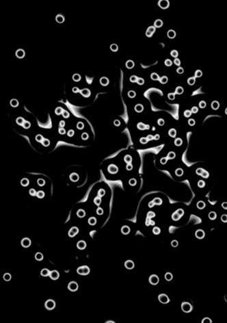 Notes from the subsurface