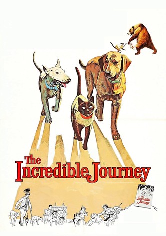 The Incredible Journey