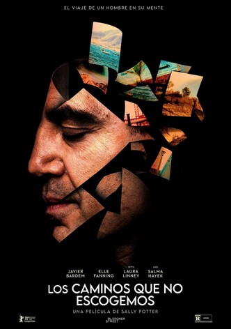 Los caminos que no escogemos