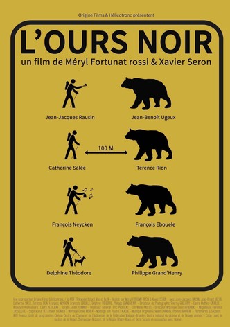 L'ours noir