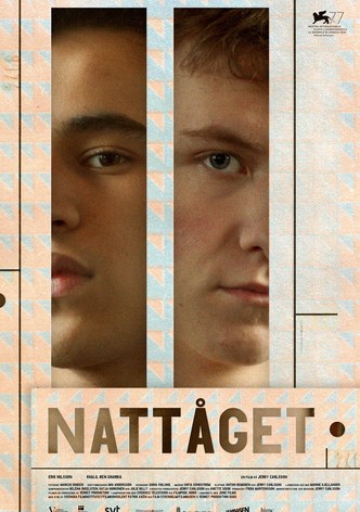 Nattåget