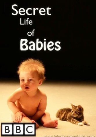 Die geheime Welt unserer Babys