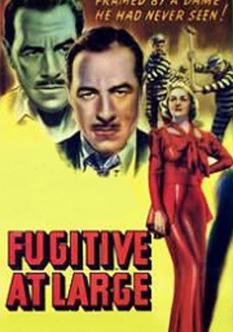 Fugitive at Large