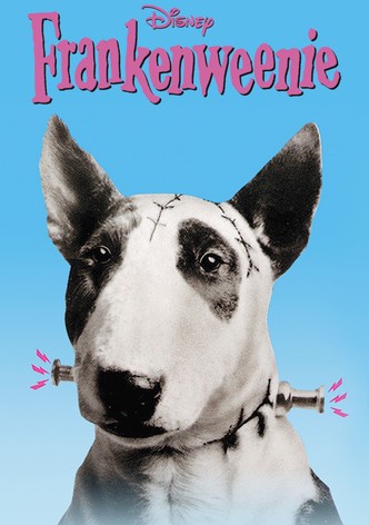 Frankenweenie