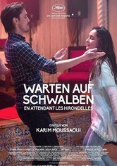 Warten auf Schwalben