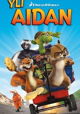 Yli aidan