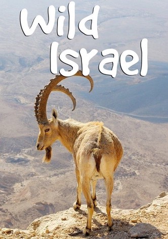 Wild Israel