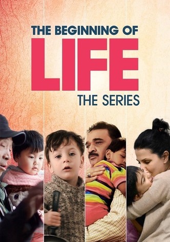 The Beginning of Life: The Series
