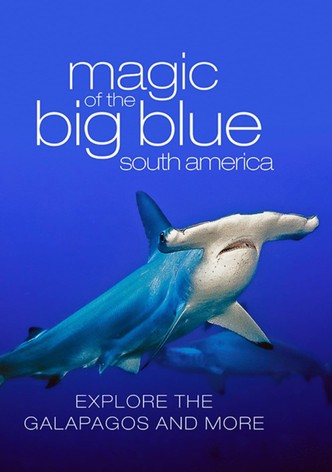 Magic of Big Blue: Geheimnisse der Ozeane