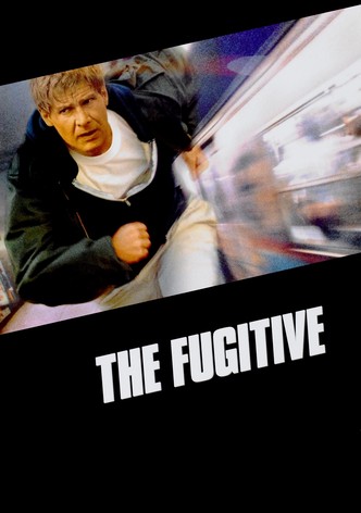 https://images.justwatch.com/poster/240269951/s332/the-fugitive