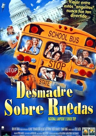 Desmadre sobre ruedas