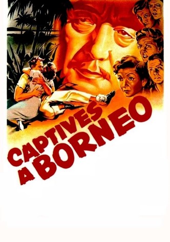 Captives à Bornéo