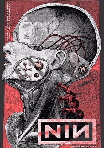 Nine Inch Nails: Corona Capital Festival, Mexico City